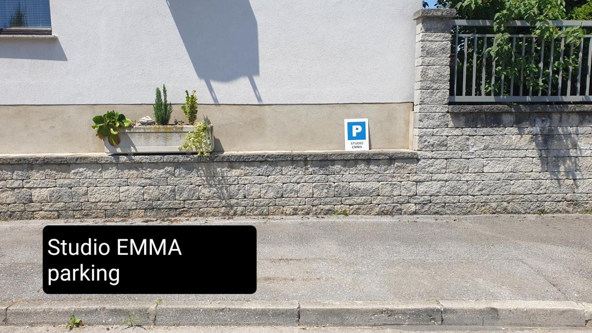 Studio Emma Ljubljana - Free Parking, Ac, Wifi Eksteriør bilde